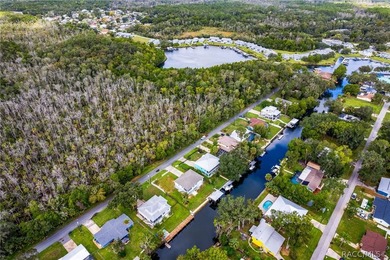 Experience Gulf Coast lifestyle in this elevated custom - photo 8