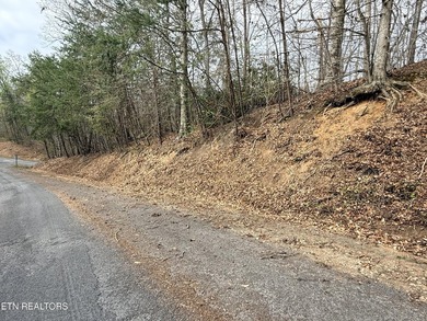 Lot 77 Grandpas Ridge is a highly private 1.05 acre corner - photo 29