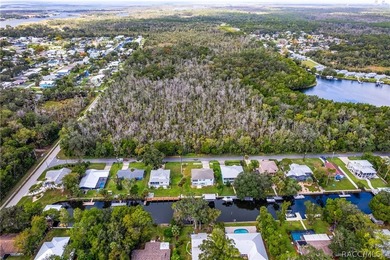Experience Gulf Coast lifestyle in this elevated custom - photo 9