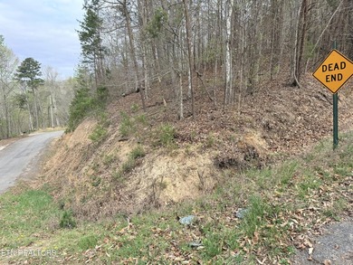 Lot 77 Grandpas Ridge is a highly private 1.05 acre corner - photo 30