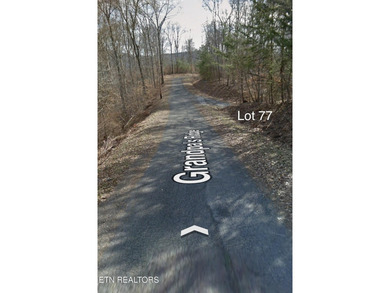 Lot 77 Grandpas Ridge is a highly private 1.05 acre corner - photo 31