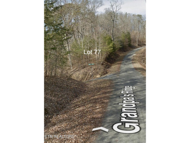 Lot 77 Grandpas Ridge is a highly private 1.05 acre corner - photo 32