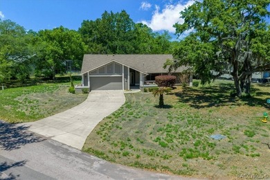 Light-filled, move-in ready home with added living space, a swim - photo 2
