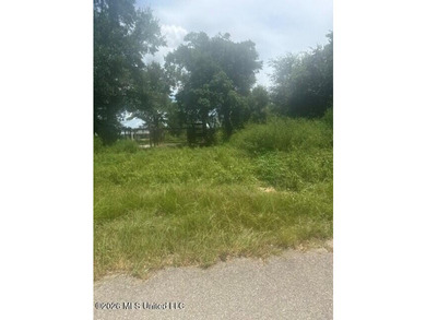 This property is a double lot, located on canal with bulkhead - photo 1