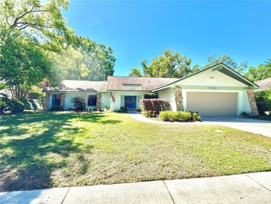 Lake Home Sale Pending in Seffner, Florida