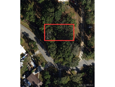 Tsala Apopka Chain of Lakes Lot For Sale in Floral City Florida