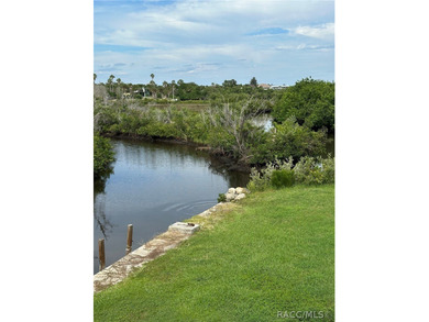 Nestled along the scenic Ozello Trail, this unique waterfront - photo 1
