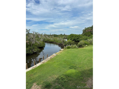 Nestled along the scenic Ozello Trail, this unique waterfront - photo 2
