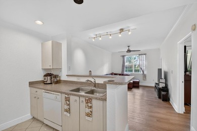 Embrace the pinnacle of West Palm living at Flagler Point! This - photo 3
