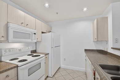 Embrace the pinnacle of West Palm living at Flagler Point! This - photo 8