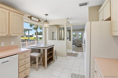 Experience the best of Crystal River waterfront living in the - photo 14