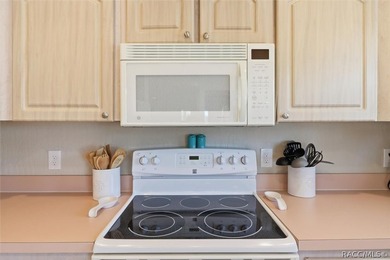 Experience the best of Crystal River waterfront living in the - photo 15