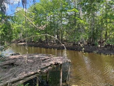 Tsala Apopka Chain of Lakes Lot For Sale in Floral City Florida