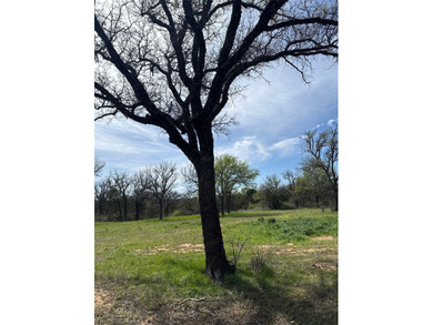 5.922 Acres Just Off Hwy 281 S in Mineral Wells, TX - Trees - photo 2