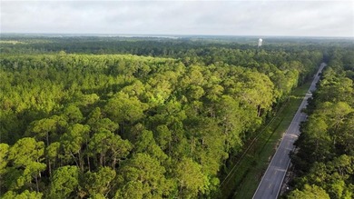 (private lake, pond, coastal) Acreage For Sale in Townsend Georgia