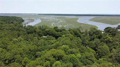 This 5.18 acre tract is located right off Hwy 99 between Eulonia - photo 2