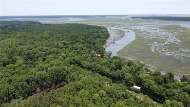 This 5.18 acre tract is located right off Hwy 99 between Eulonia - photo 3