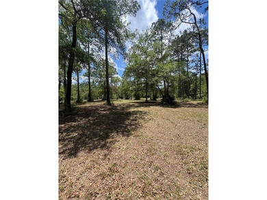 This 5.18 acre tract is located right off Hwy 99 between Eulonia - photo 4