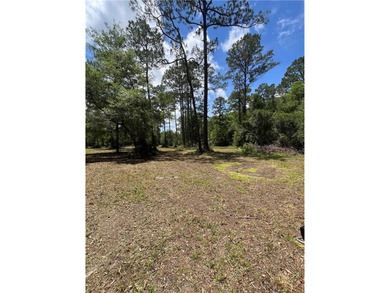 This 5.18 acre tract is located right off Hwy 99 between Eulonia - photo 5
