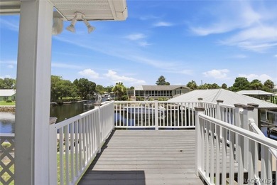Experience the best of Crystal River waterfront living in the - photo 35