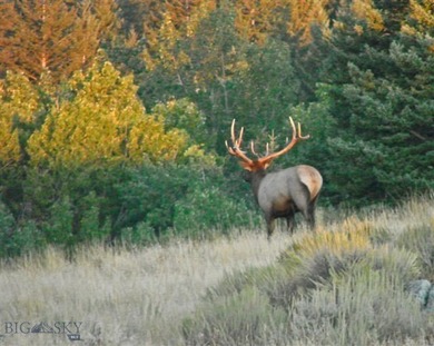 Big 5 Ranch is in Livingston, Montana, a distinguished western - photo 36