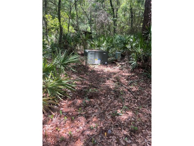 This 5.18 acre tract is located right off Hwy 99 between Eulonia - photo 6