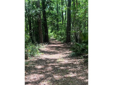 This 5.18 acre tract is located right off Hwy 99 between Eulonia - photo 7
