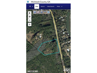 This 5.18 acre tract is located right off Hwy 99 between Eulonia - photo 8
