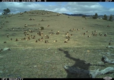 Big 5 Ranch is in Livingston, Montana, a distinguished western - photo 39