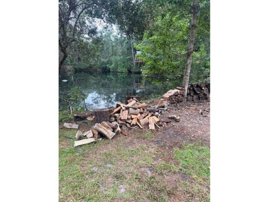 This 5.18 acre tract is located right off Hwy 99 between Eulonia - photo 9