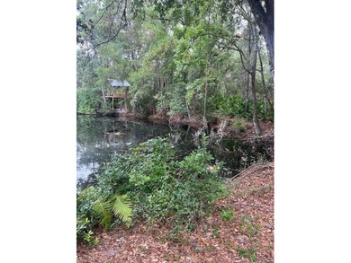 This 5.18 acre tract is located right off Hwy 99 between Eulonia - photo 10