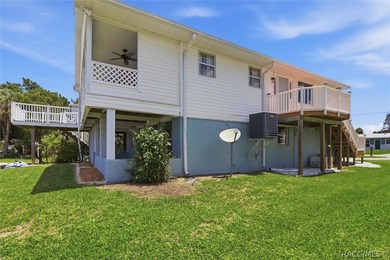 Experience the best of Crystal River waterfront living in the - photo 43