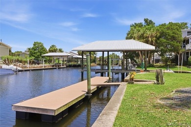 Experience the best of Crystal River waterfront living in the - photo 46