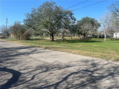 Lake Lot For Sale in Mathis, Texas