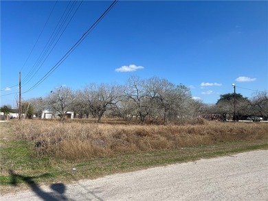 Lake Corpus Christi Lot For Sale in Mathis Texas