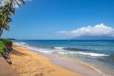 WOW! The views!! Discover the epitome of beachfront living in - photo 30