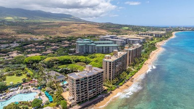 WOW! The views!! Discover the epitome of beachfront living in - photo 34
