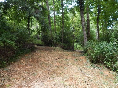 3 Bedroom, 2 Bath manufactured home on 63 acres +/-, just off Rt - photo 44