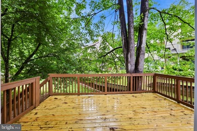 Welcome to 4306 Candlestick Court, a beautifully refreshed - photo 37