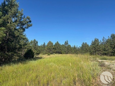 Yellowstone River Acreage For Sale in Reed Point Montana