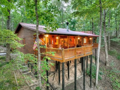 Cherry Log Lake Home For Sale in Blue Ridge Georgia