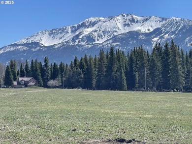 (private lake, pond, coastal) Home For Sale in Enterprise Oregon