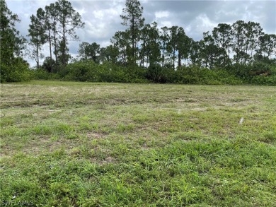 (private lake) Lot For Sale in Cape Coral Florida