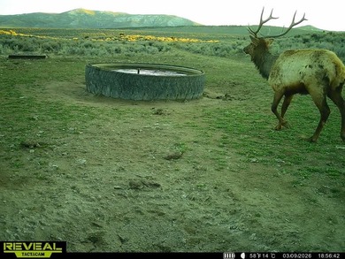3D Mountain Ranch offers a rare four-season legacy property in - photo 15
