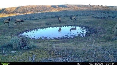 3D Mountain Ranch offers a rare four-season legacy property in - photo 16