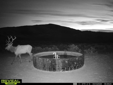 3D Mountain Ranch offers a rare four-season legacy property in - photo 17