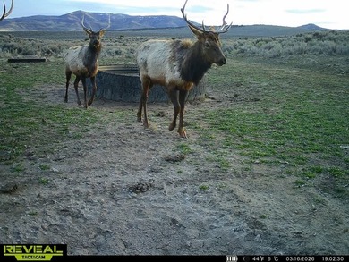 3D Mountain Ranch offers a rare four-season legacy property in - photo 18
