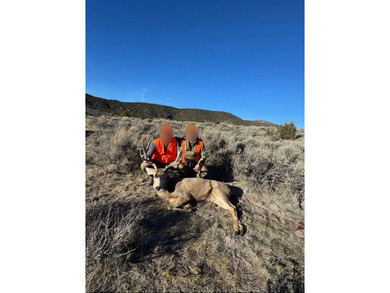 3D Mountain Ranch offers a rare four-season legacy property in - photo 19
