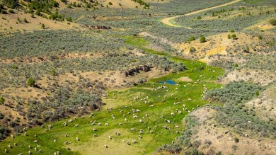3D Mountain Ranch offers a rare four-season legacy property in - photo 26