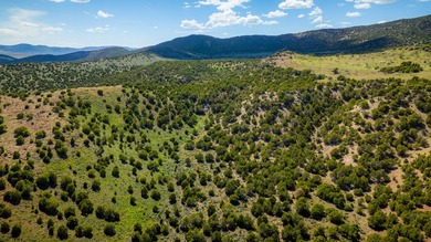 3D Mountain Ranch offers a rare four-season legacy property in - photo 28